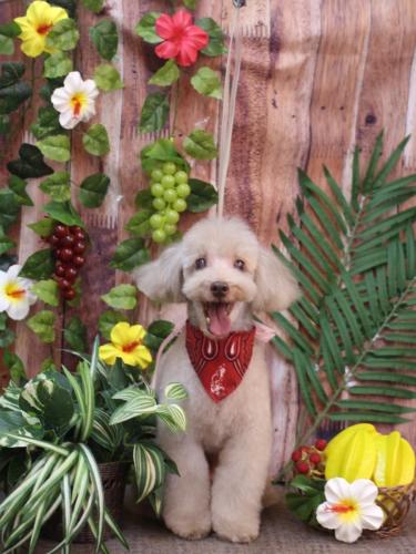 20230830ロンくん